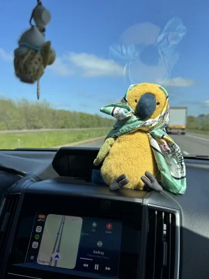 Budgeby Parrot Jellycat photo