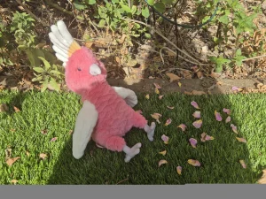 Squawkatoo Jellycat photo