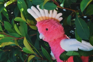 Squawkatoo Jellycat photo