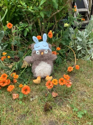  Cobblehop Bunny 新品未使用 タグ付き Cobblehop Bunny Jellycat | Jelly Journal