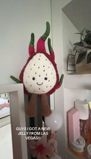 Amuseables Dragon Fruit Jellycat photo