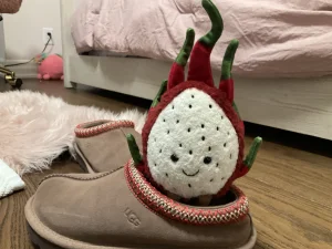 Amuseables Dragon Fruit Jellycat | Jelly Journal