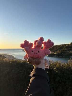 Amuseables Coral Jellycat photo uploaded by Smellyjellies