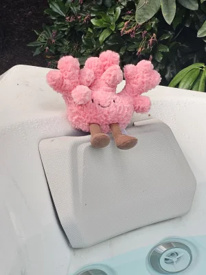 Amuseables Coral Jellycat photo uploaded by Ilovejelly