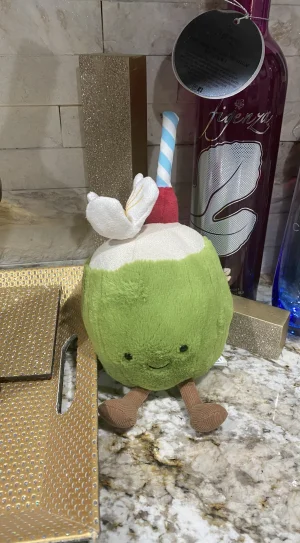 Amuseables Aruba Coconut Jellycat photo uploaded by PinkLotus2023