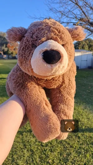 Woody Bear Lying Jellycat | Jelly Journal