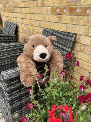 Woody Bear Lying Jellycat photo