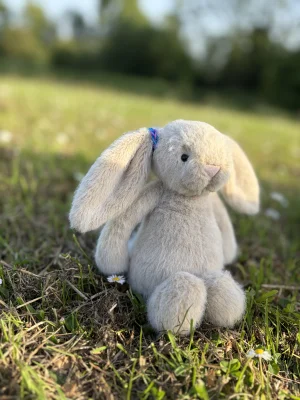 Wheat Flufflet Bunny Jellycat | Jelly Journal