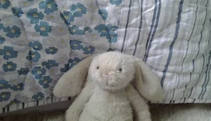 Wheat Flufflet Bunny Jellycat photo