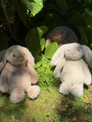 Wheat Flufflet Bunny Jellycat | Jelly Journal