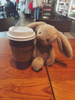 Oat Flufflet Bunny Jellycat photo