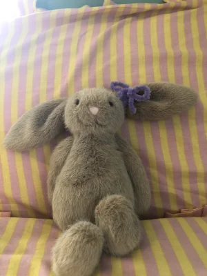 Jellycat Photo
