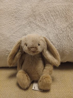 Oat Flufflet Bunny Jellycat | Jelly Journal