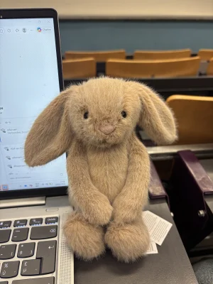 Oat Flufflet Bunny Jellycat photo uploaded by monki123
