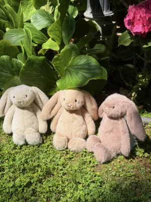 A photo of Fawn Flufflet Bunny Jellycat taken by jellycatangel