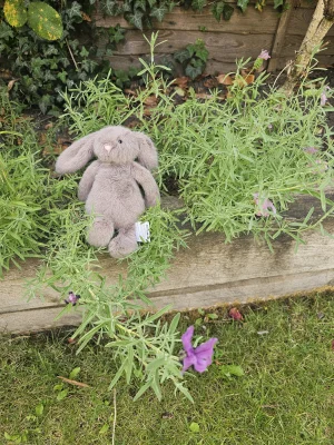 Fawn Flufflet Bunny Jellycat photo uploaded by Ilovejelly
