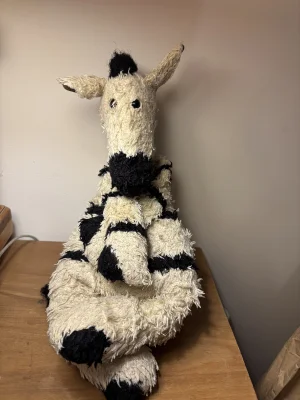 Jellycat Photo