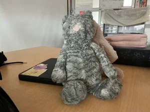 A photo of Bashful Tabby Kitten - Medium Jellycat taken by ryan1