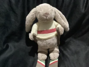 Bashful Bunny Gold Medal Ski Outfit Jellycat photo uploaded by Jellybunnys1984