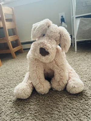 A photo of Wanderlust Puppy Jellycat taken by brisjellyjournal