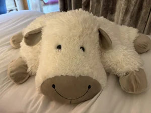 A photo of Truffles Sheep Jellycat taken by bashfulbunny_pink