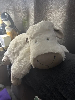 A photo of Truffles Sheep Jellycat taken by CharlieP