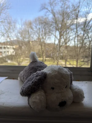 A photo of Tumblie Sheepdog Jellycat taken by katsjellies