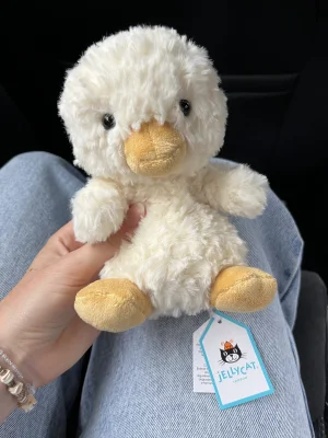 Yummy Duckling Jellycat | Jelly Journal