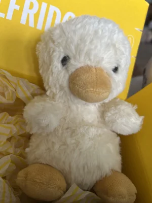Yummy Duckling Jellycat photo