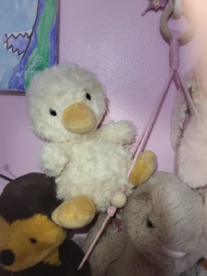 Yummy Duckling Jellycat photo