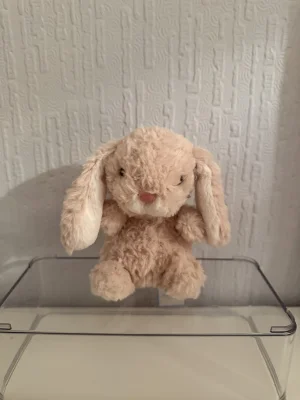 Yummy Bunny - Beige Jellycat | Jelly Journal