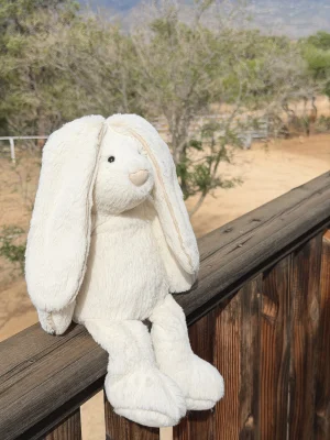 A photo of Piper Bunny - Large Jellycat taken by jellycatangel