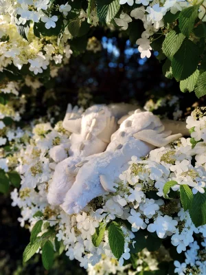Photo by jellycatmandy