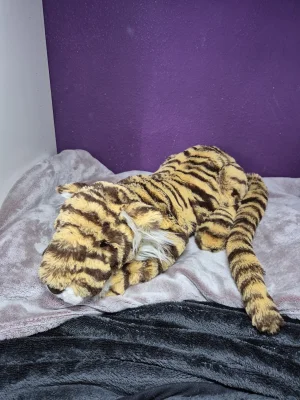 Taylor Tiger Jellycat photo