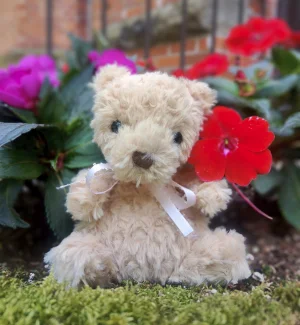 Yummy Bear Jellycat photo