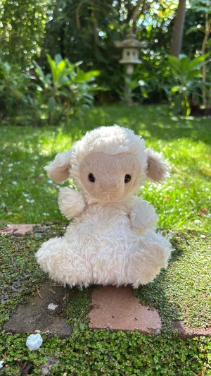 A photo of Yummy Lamb Jellycat taken by Jelly_Journey