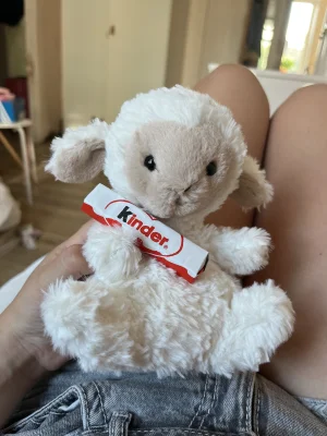 A photo of Yummy Lamb Jellycat taken by Martajellycats