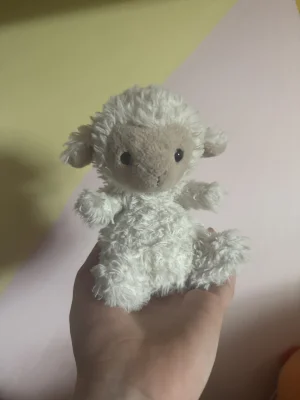 A photo of Yummy Lamb Jellycat taken by JellyElenJoy