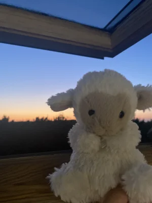 Yummy Lamb Jellycat photo