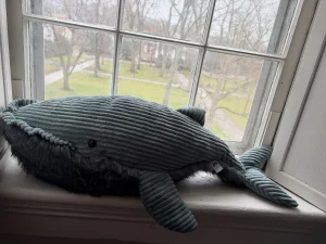 A photo of Wiley Whale Jellycat taken by katsjellies