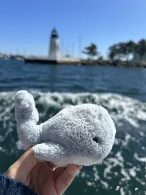 Wavelly Whale - Grey Jellycat photo