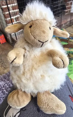 Puffball Sheep Jellycat photo uploaded by Gremlem22NBC