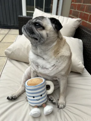 Rosie Lea Mug of Tea Jellycat photo