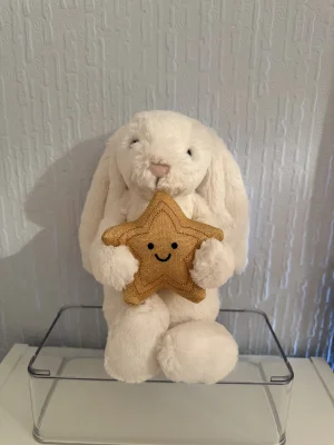 Cream Bunny with Star Jellycat | Jelly Journal