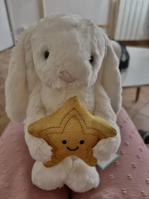 Cream Bunny with Star Jellycat | Jelly Journal