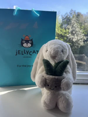 Cream Bunny with Plant Jellycat photo uploaded by jellykitten