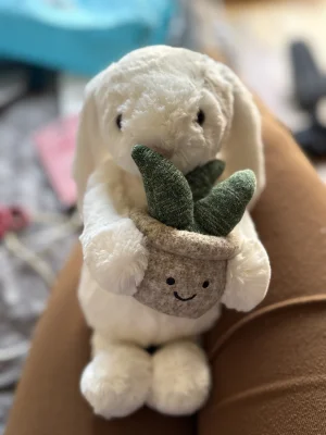 Cream Bunny with Plant Jellycat | Jelly Journal