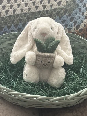 Cream Bunny with Plant Jellycat photo