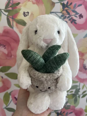 Cream Bunny with Plant Jellycat photo