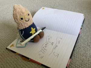 Amuseables Peanut Star Student Outfit Jellycat | Jelly Journal